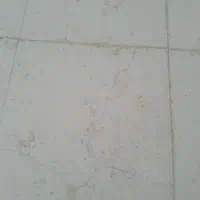 نظافت منزل واحدهای اداری وتجاری|خدمات نظافت|لاهیجان, امیرشهید|دیوار