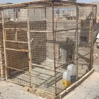 قفس کبوتر فنس توری هواخوری