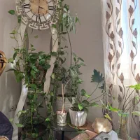 ساعت ایستاده|ساعت دیواری و تزئینی|قم, نخودی|دیوار