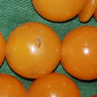 دو عدد تسبیح سندلوس قدیمی کهنه عتیقه