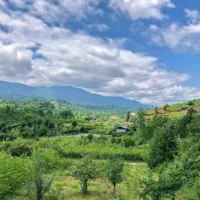 فروش زمین ۳۸۰ متری واقع در لیالستان (قصاب محله)