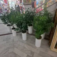 درختچه مصنوعی