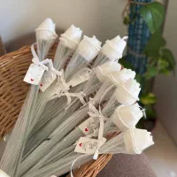 آینه عروس|بدلیجات|مریوان, |دیوار