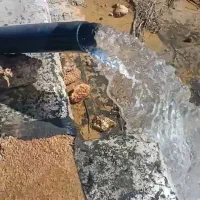 فروش ۳هکتار و نیم زمین کشاورزی در شهرستان افوس|فروش دفتر صنعتی، کشاورزی، تجاری|نجف‌آباد, فاز ۳ شهرک آزادگان|دیوار