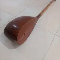تنبور یک ونیم اکتاو۳مهر براخانی،حرفه ای