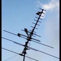 نصب و تنظیم آنتن و سیستم دیجیتال تضمینی|خدمات پیشه و مهارت|تهران, مهرآباد جنوبی|دیوار