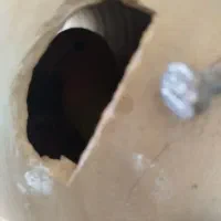 برزیلی مولد