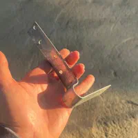 بست رادیکالی