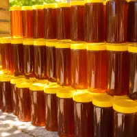 عسل نیمه تغذیه