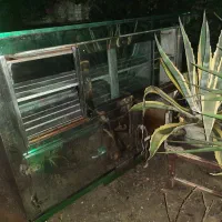 فروش یخچال مغازه|فروشگاه و مغازه|گرگان, |دیوار