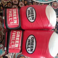 دستکش و کلاه بوکس حرفه ای