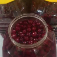 البالوترشی  شیره انگور