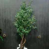 درختچه مصنوعی مناسب خریدار واقعا زنگ بزنه ممنونم