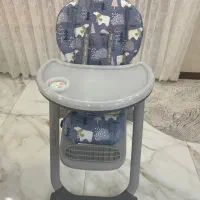 صندلی غذا دلیجان نو