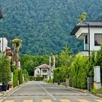 پلاک-یک-جنگل-لاویج-یک-قطعه-کوچیک-150متری