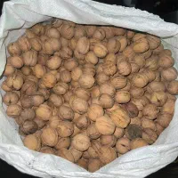 خریدار گردو هستم|عمدهفروشی|سلماس, |دیوار