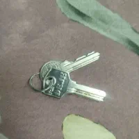 یک دسته سویچ ماشین گم شده