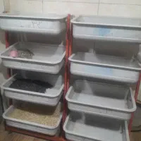 بوفه قفسه صندلی میز