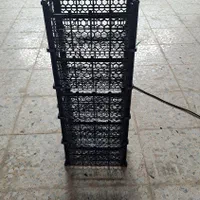 فروش انواع سبدهای کیوی و پرتقال|عمدهفروشی|سلمانشهر, |دیوار