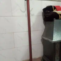 چوب‌ لباسی|بندرخت و رخت‌آویز|قم, علی آباد سعدگان|دیوار