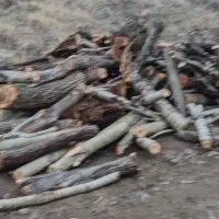 چوب در باغات