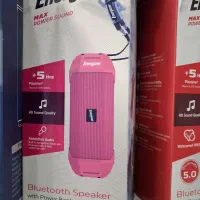 اسپیکر انیجایزر