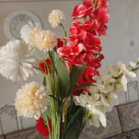 گل های زیباکلام ۶ماه خریدم