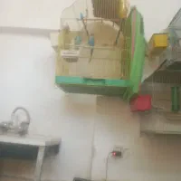 فروشی یا معاوضهفروشی