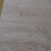 فرش|فرش|رشت, کوی مهر|دیوار