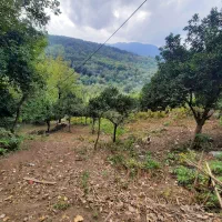 مگه داریم ویلای چوبی۱۰۰۰متری سیاهکل باویوی باغ چای|فروش خانه و ویلا|رشت, پل تالشان|دیوار