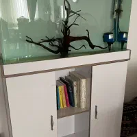 آکواریوم ماهی|ماهی|فردیس, داوری|دیوار