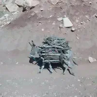 الاغ ماده|حیوانات مزرعه|معمولان, |دیوار