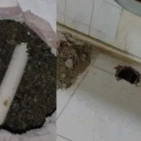 نشت یابی تشخیص رفع نم ونشتی با دستگاه|خدمات پیشه و مهارت|اسلامشهر, شهرک مهدیه|دیوار