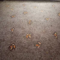 موکت|موکت|علیآباد کتول, |دیوار