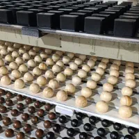 جذب نیرو علاقه مند در زمینه تولید محصولات چوبی