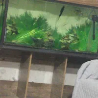 فروش آکواریوم با تمام لوازم