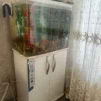 اکواریم