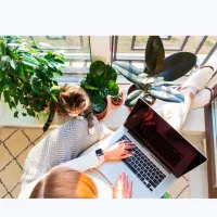 خدمات مالیاتی  و نرم افزار حسابداری