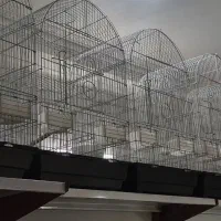 لوازم کامل پرنده و جونده و سگ و گربه
