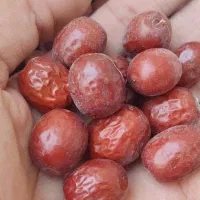 عناب تازه/نرم و خوشمزه/به شرط|خوردنی و آشامیدنی|مشهد, رضاییه|دیوار