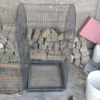 قفس پرنده