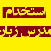 استخدام مربی زبان