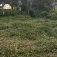 ویلاحیاط‌دار2000متری درکوچصفهان روستای گیلوا دشتان|فروش خانه و ویلا|کوچصفهان, |دیوار