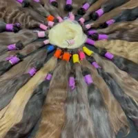 شاهمرادی(تنها مرکز خرید شاهمرادی در مرکز اکستنشن )
