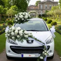 اجاره ماشین عروس ، رنت ، کرایه خودرو|خودرو اجارهای|همدان, |دیوار