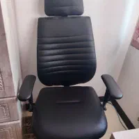 صندلی اداری نو|میز تحریر و کامپیوتر|شیراز, سایت اداری|دیوار