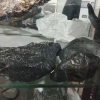 شهاب