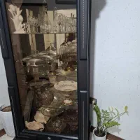 ویترین چراغ دار تمیز بخاطر جابه جای میفرشم