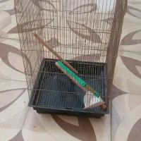 قفس پرنده