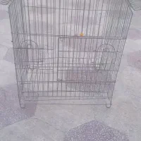 قفس بزرگ پرنده